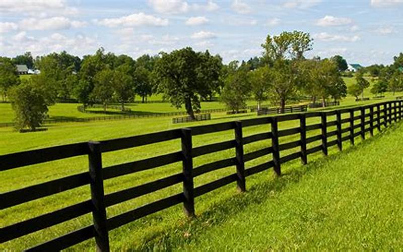 Discovering The Benefits & Disadvantages Of Farm Fence Privacy