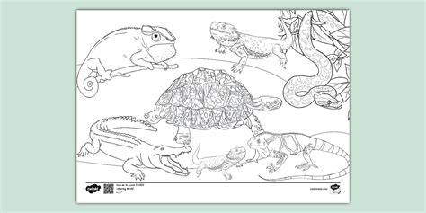 Discovering Different Reptiles for Colouring
