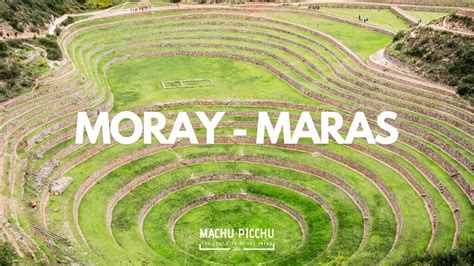 Discovering Moray