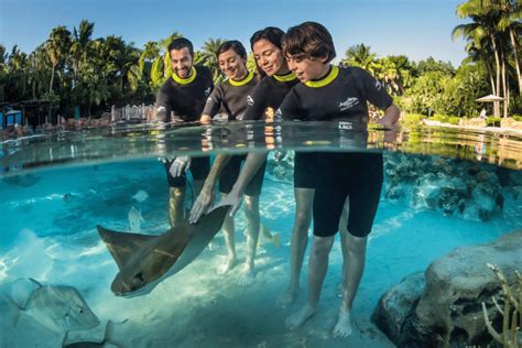 Discovery Cove Basic Admission