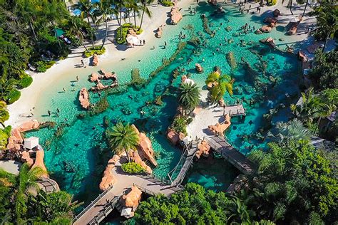 Discovery Cove Package