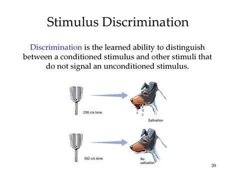 Discriminative Stimulus Psychology Example
