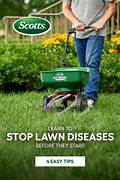 Disease Prevention in Lawn Care
