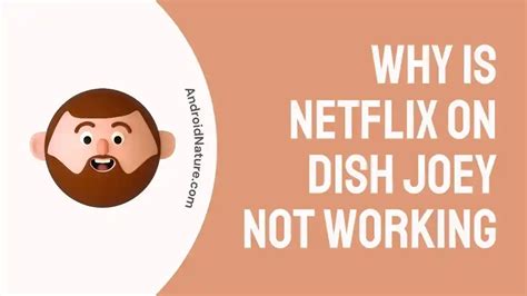 Discover Solutions to Resolve Dish Network Netflix App Not Working Issue.