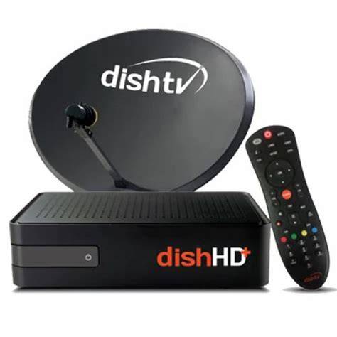 Dish