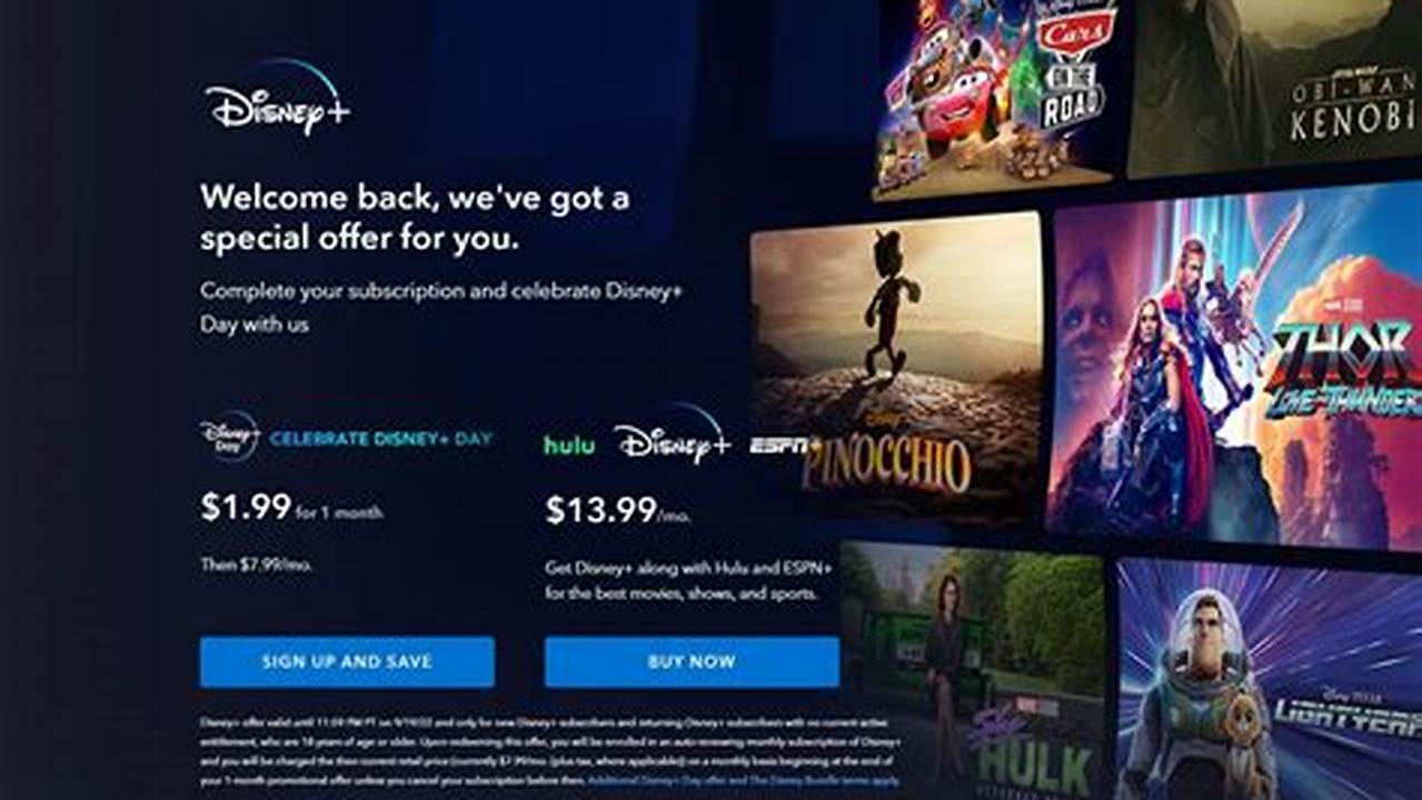 Disney Plus Packages 2025