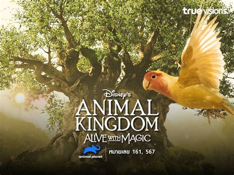 Experience the Magic of Disney's Animal Kingdom: Alive with Spectacular Entertainment!