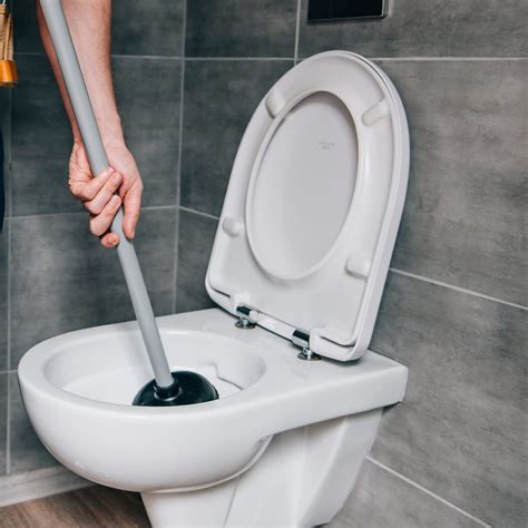 Dissolving a Toilet Paper Clog