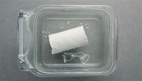 Dissolving a Toilet Paper Clog