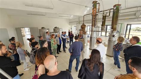 Distilleria Alma Guided Tour