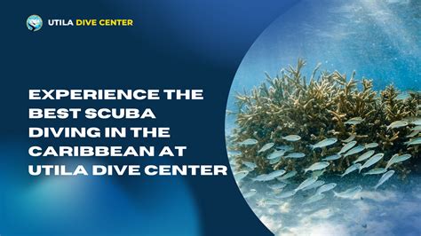 Dive Center