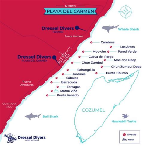 Dive Operator Playa Del Carmen