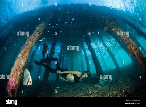 Diver under jetty