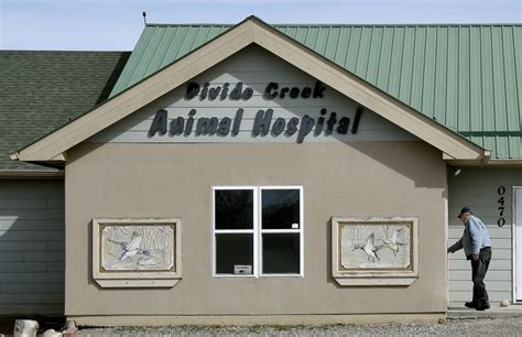 Divide Creek Animal Hospital Silt Co