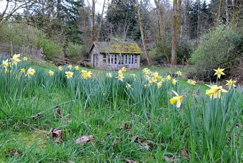 Dividing and Naturalizing