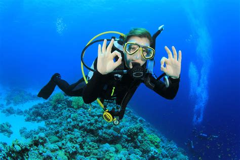 Best Scuba Diving in the World Top 12 Best Places to Scuba Dive
