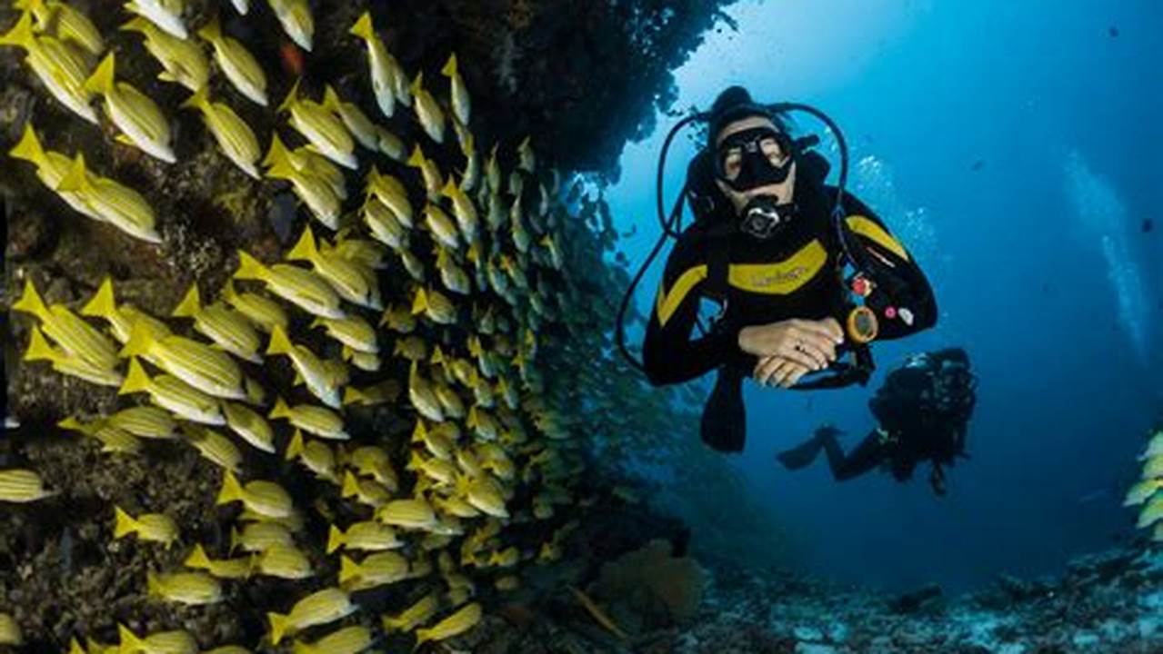 Diving Spots, Tourist Destination