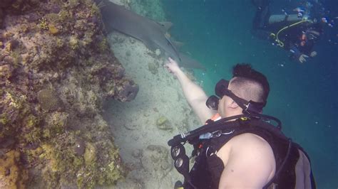 Diving Farasan Islands