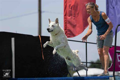 Diving Into Raw Dog Co\