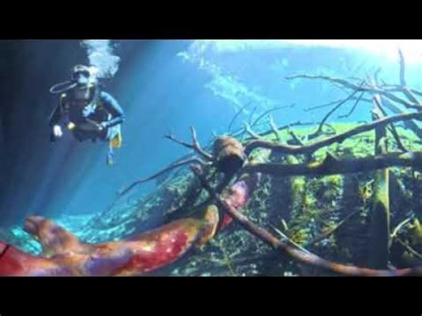 Diving Into the Car Wash Phenomenon