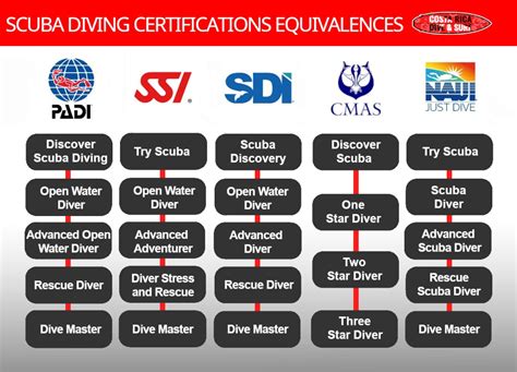 Diving certifications