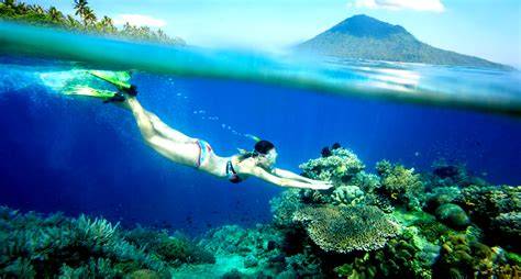 Diving in Bunaken