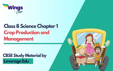 Diving into Class 8 Science Chapter 1: Crop Production and Management