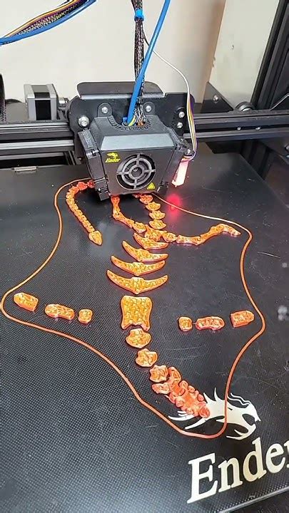 Diving into the World of 3D Printing