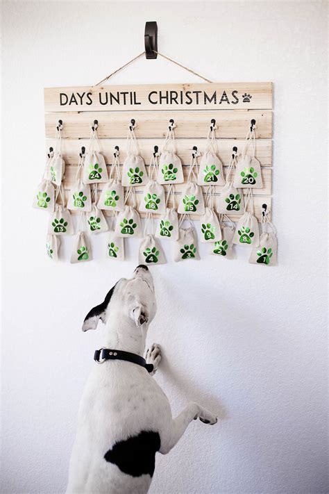 Diy Advent Calendar For Dogs