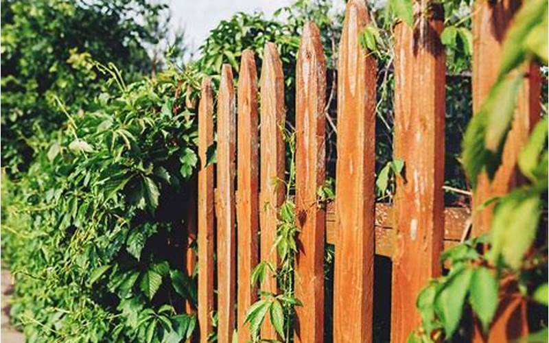 Diy Cheap Conduit Privacy Fence: A Creative Solution For Your Outdoor Space