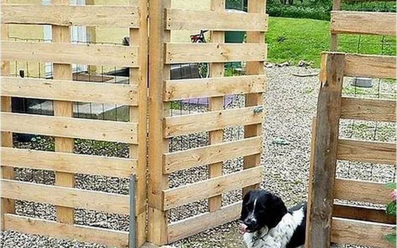 Diy Privacy Dog Fence: Keep Your Furry Friends Safe And Secure