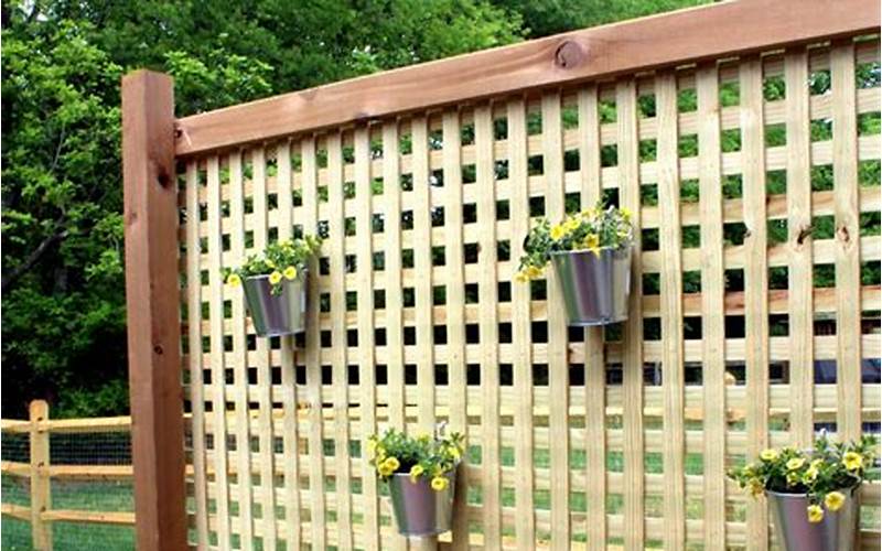 Diy Privacy Fence Screen: Everything You Need To Know
