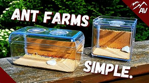 Diy Ant Farm