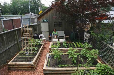Diy Backyard Farm