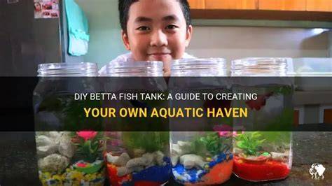 Diy Betta Fish Tank