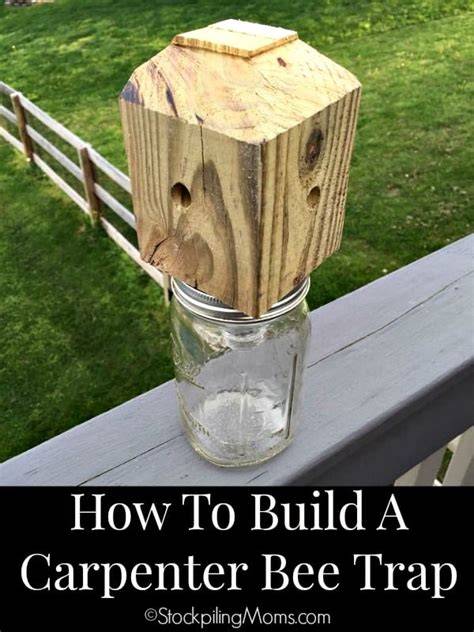 Protect Your Home and Garden from Destructive Carpenter Bees: Create Your Own DIY Trap Today!