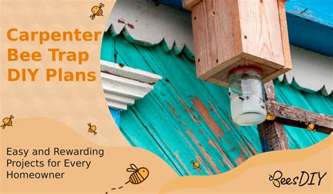 Protect Your Home from Destructive Carpenter Bees: Learn How to Build DIY Traps Now!