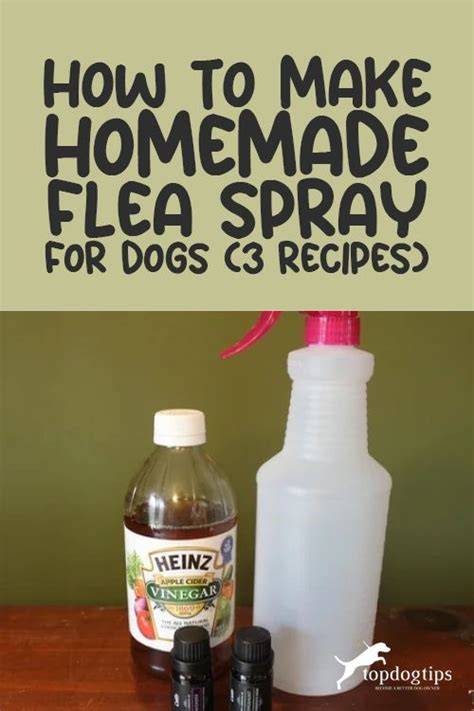 Protect Your Furry Friend from Fleas with DIY Dog Flea Spray - Keep Them Safe and Comfortable!