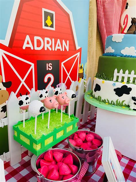 Diy Farm Themed Birthday Party