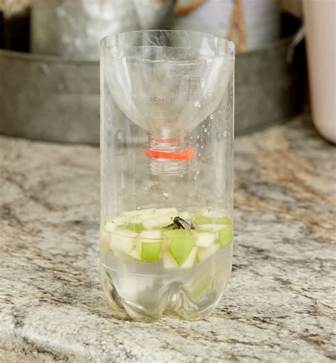 Secrets Revealed: How to Make an Easy, All-Natural Indoor Fly Trap and Live a Fly-Free Life!