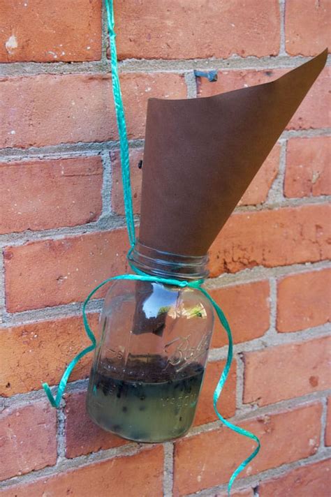 Declare War on Pesky Flies with These Heartfelt DIY Outdoor Fly Traps!