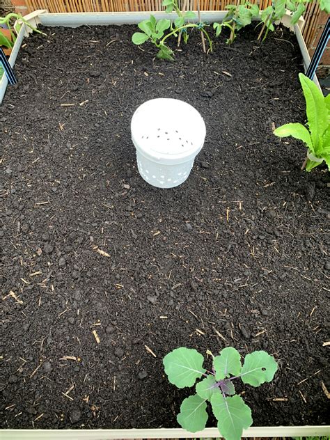 Diy In Ground Worm Farm