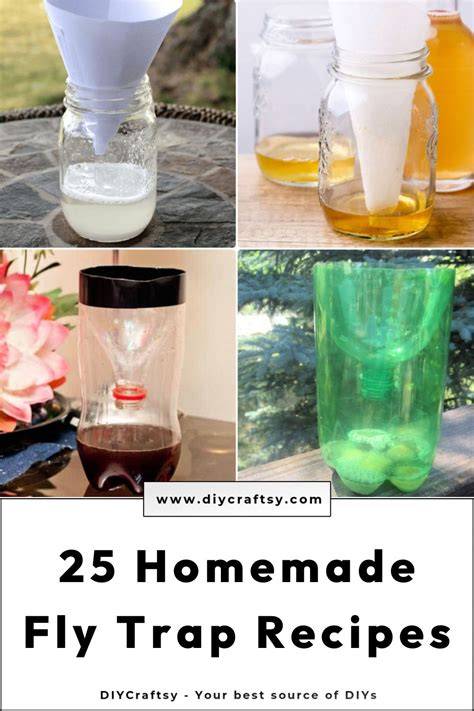 End Indoor Pest Infestations for Good: DIY Emotional Rescue Fly Trap to Keep Your Home buzzing with Satisfaction.