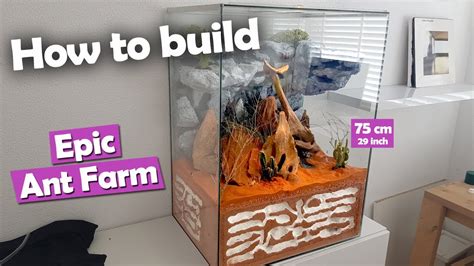 Diy Large Ant Farm