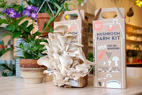 Diy Mushroom Farm Kit