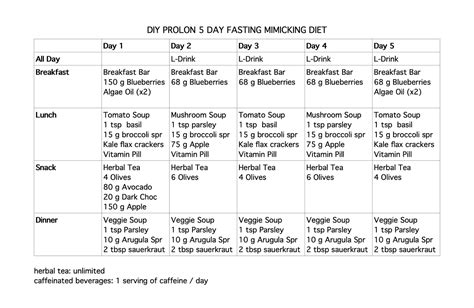 Diy Prolon Diet