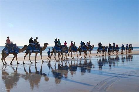 Djerba Camel Ride Review: Is the 1h30 Tour Worth it?