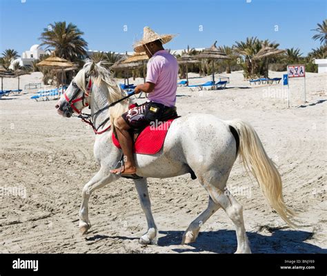 Djerba Horse Riding