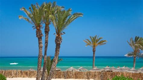 Djerba Cultural Tour Review: Discovering the Island’s Jewels