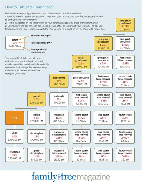 Dna Cousin Chart